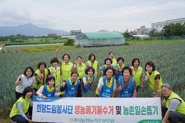 농가주부모임 영농폐기물수거 및 농촌일손돕기(2025.07.16.) 대표 이미지